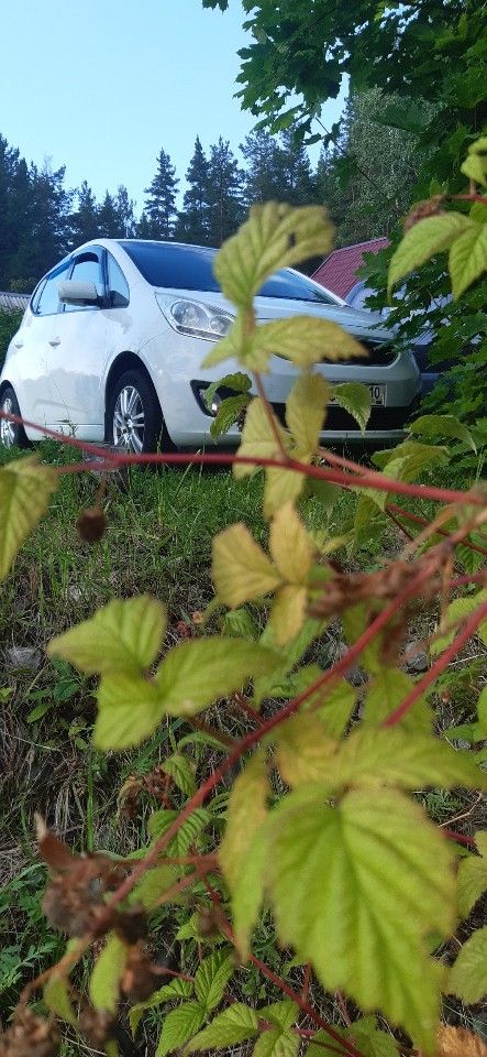 Kia Venga: фото владельца