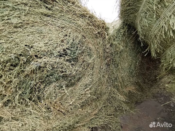 Сено и солома в рулонах