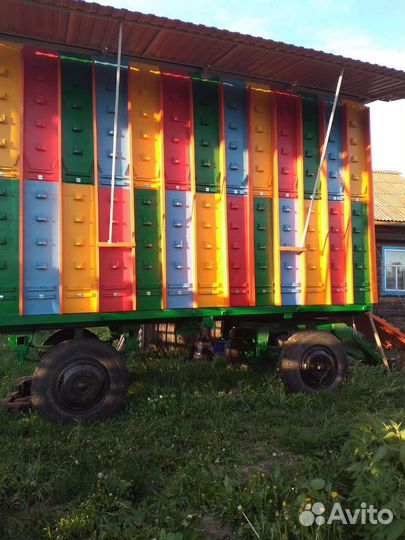 Пчелопавильон 52 семьи рут