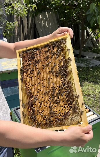 Крымский мёд, свечи, наборы, орешки, мёд в сотах