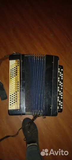 Баян тульский