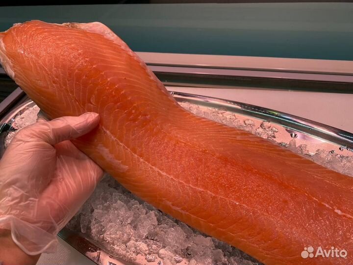 Лосось филе слабосолённый. Опт