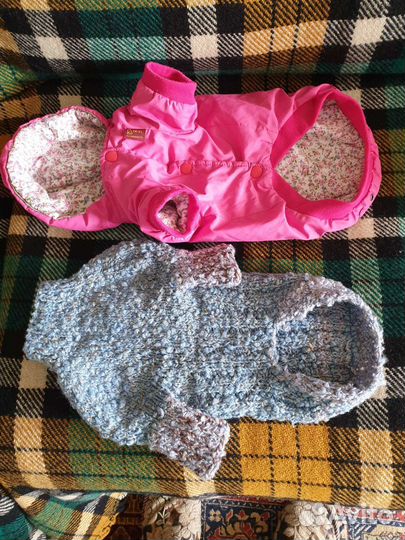 Одежда для маленьких собак