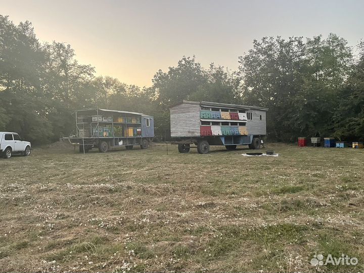 Мед натуральный