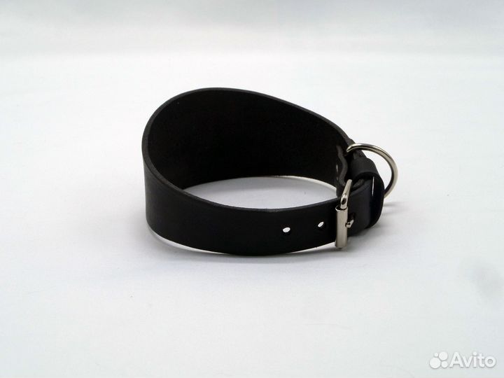 Ошейник селедка для собак