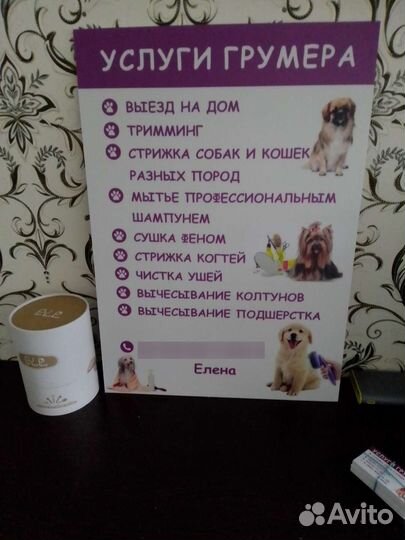 Услуги грумера