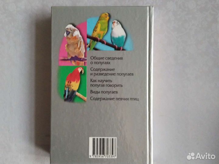 Домашние попугаи и певчие птицы