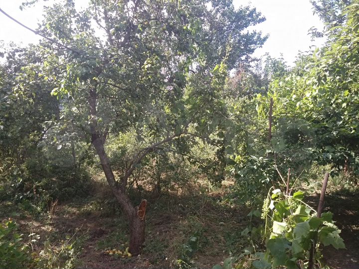 Дача 20 м² на участке 5 сот.