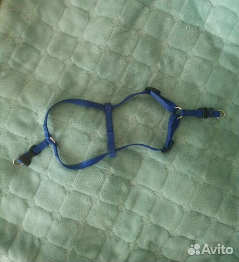 Шлейка для маленькой собаки