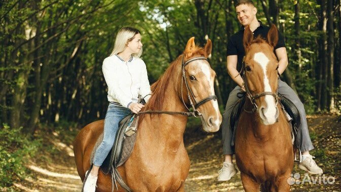Конная прогулка на лошадях