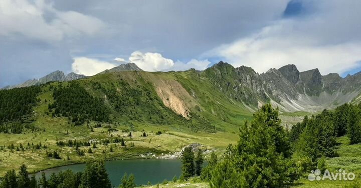 Конные прогулки в аршане