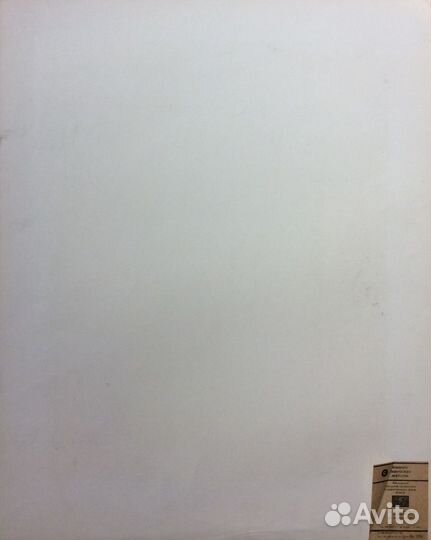 Советская картина. А. Энштейн. Злотников Ю.С