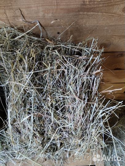 Сено в тюках