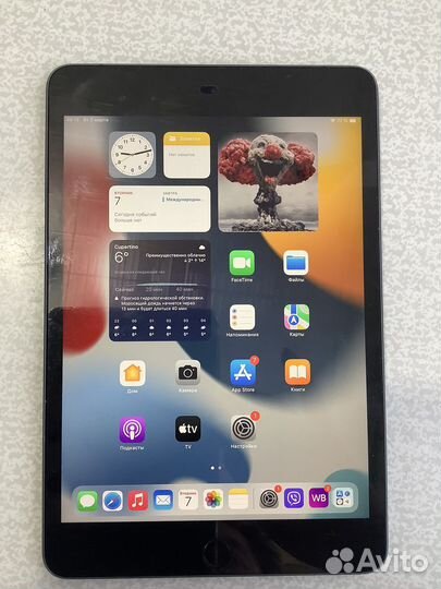 iPad mini5 64Gb WiFi+LTE
