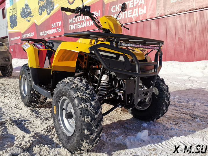 Квадроцикл irbis ATV 250 XE (X-motors edition) псм