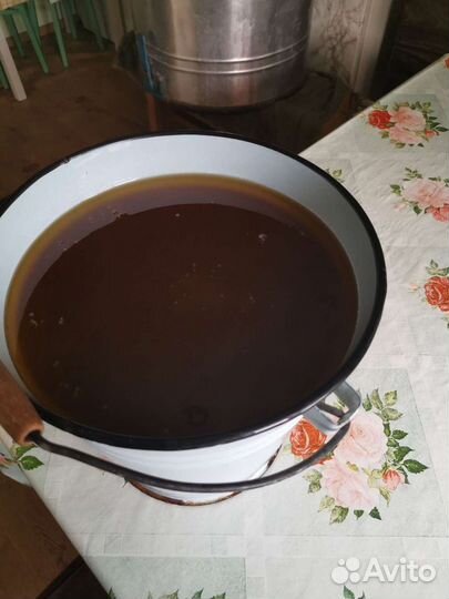 Мед весенний сибирский