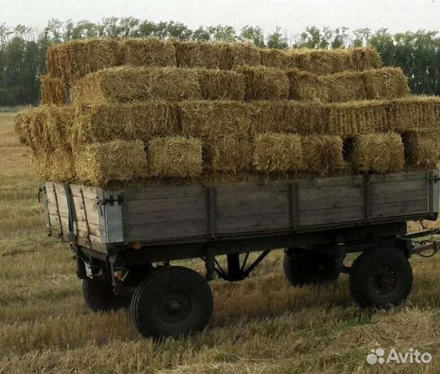 Сено, солома в брикетах, доставка