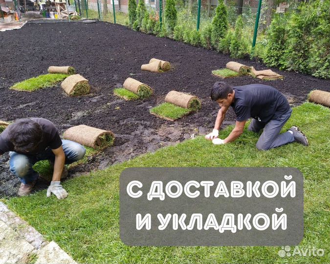 Рулонный газон с доставкой