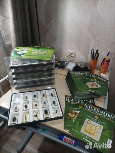 Полная коллекция Насекомые и их знакомые