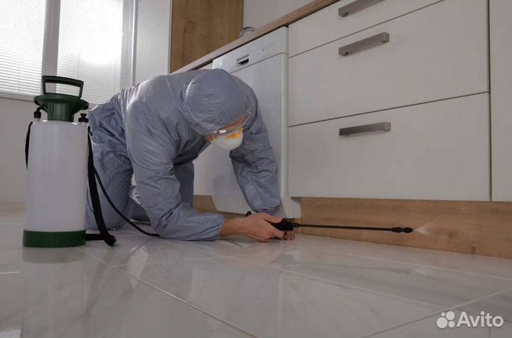 Средство для Уничтожения клопов Дезинсекции тараканов