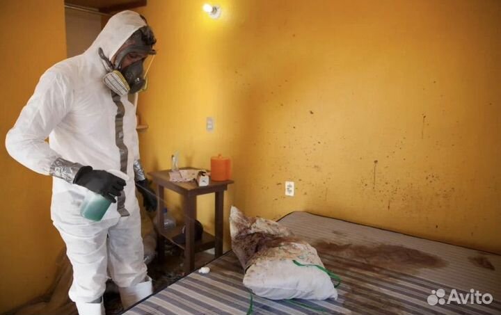 Уборка после смерти / Удаление запахов / Демонтаж