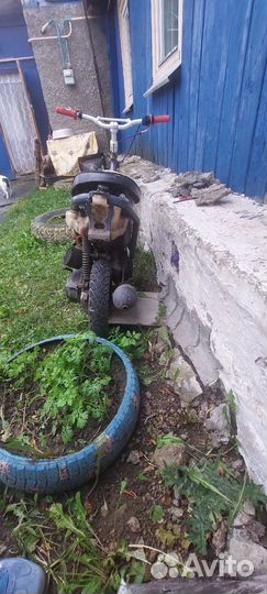 Хонда дио 35 zx