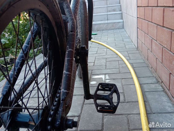 Bmx tech team Grasshopper