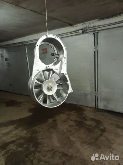 Рысь тайга буран