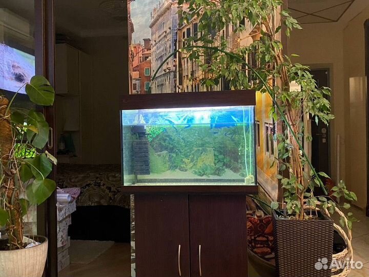 Аквариум с тумбой