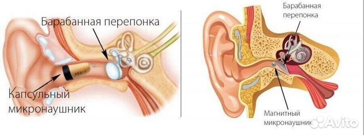 Микронаушники для экзаменов