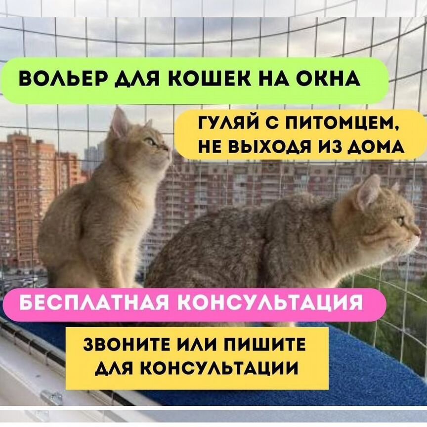 Вольер для кошек на окна