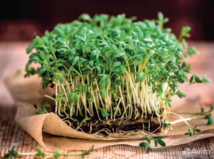 Микрозелень NarayanaGreens
