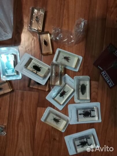 Жуки в смоле