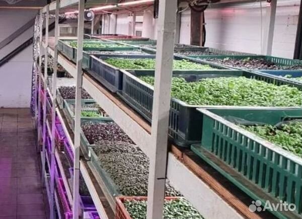 Готовый бизнес Ферма