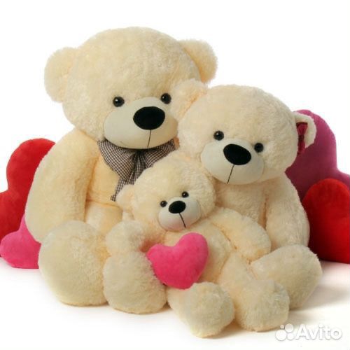 Медведь белый