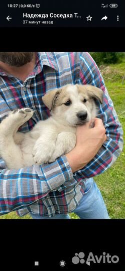 Девочка дворянка