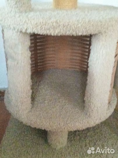 Когтеточка с домиком бу