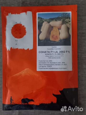 Семена тыквы Соната