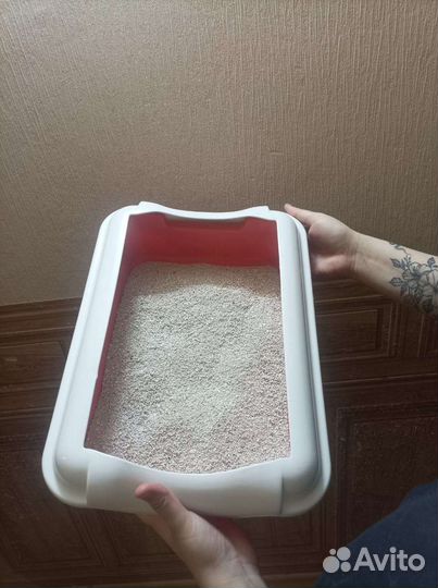 Лоток для кошек
