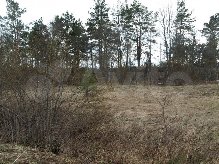 Участок 4 га (СНТ, ДНП)