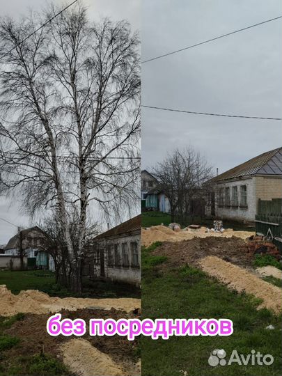 Спил деревьев без вышки / арборист / покос травы