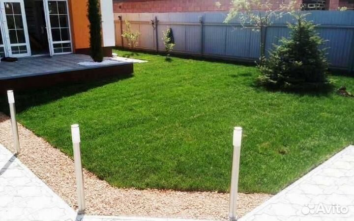 Рулонный газон, укладка, продажа