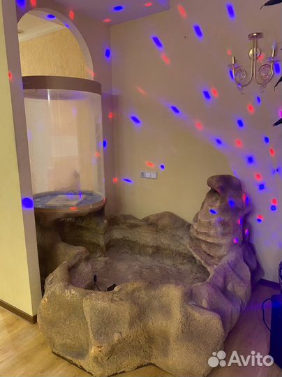 Аквариум с бассейном