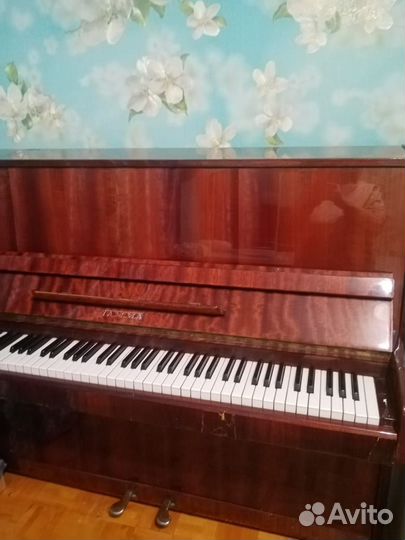 Пианино гамма