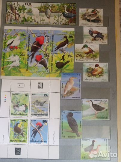 Альбом с марками (птицы) 2