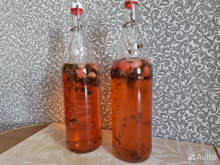 Чайный гриб комбуча