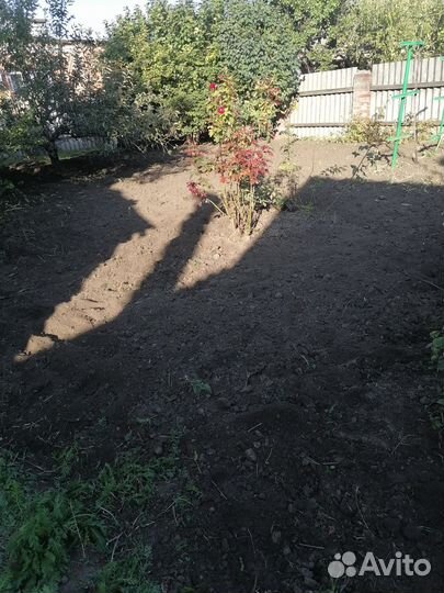 Сад благоустройство