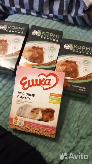 Корм для морских свинок