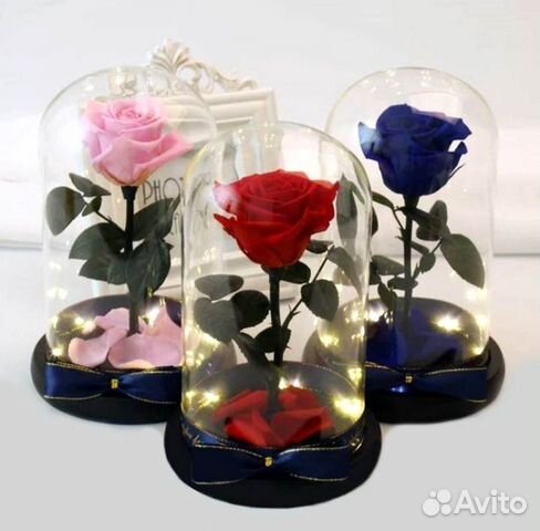 Розы в колбе на выбор
