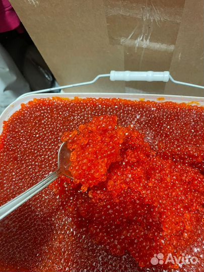 Икра красная, пресерва из рыбы кижуча